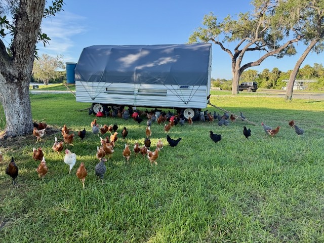 Pasture photo